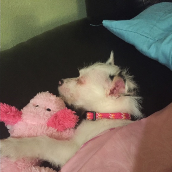 Meet your Posher, Emerald - Picture 1 of 1